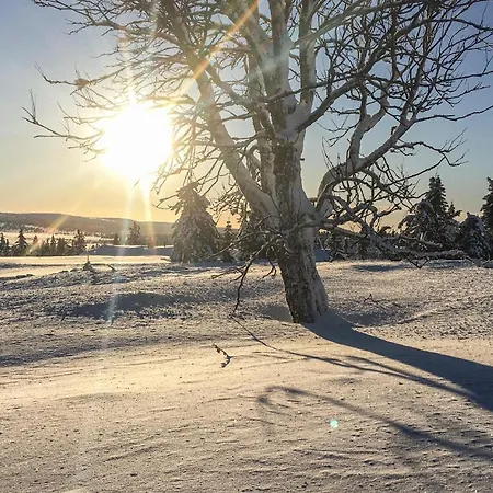 Holiday home Gorgeous In With Wifi Lillehammer