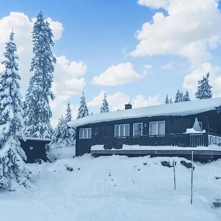 Gorgeous In With Wifi