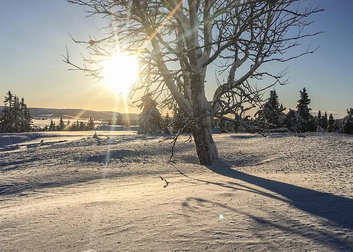 Holiday home Gorgeous In With Wifi Lillehammer