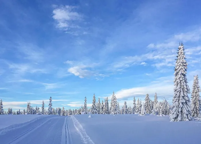 Gorgeous In With Wifi